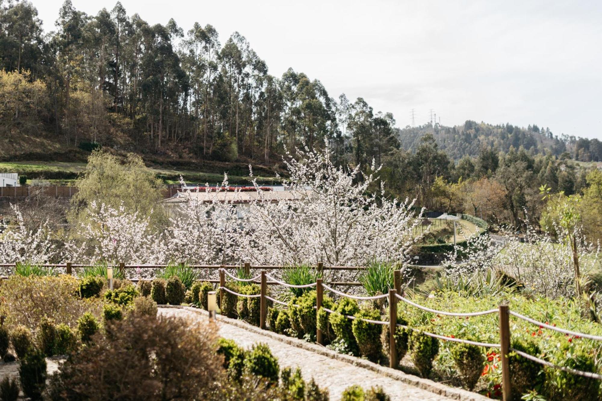 Quinta do Bento Hotel Vieira do Minho Esterno foto